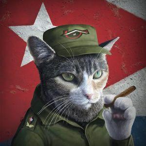 MrMjauuu avatar