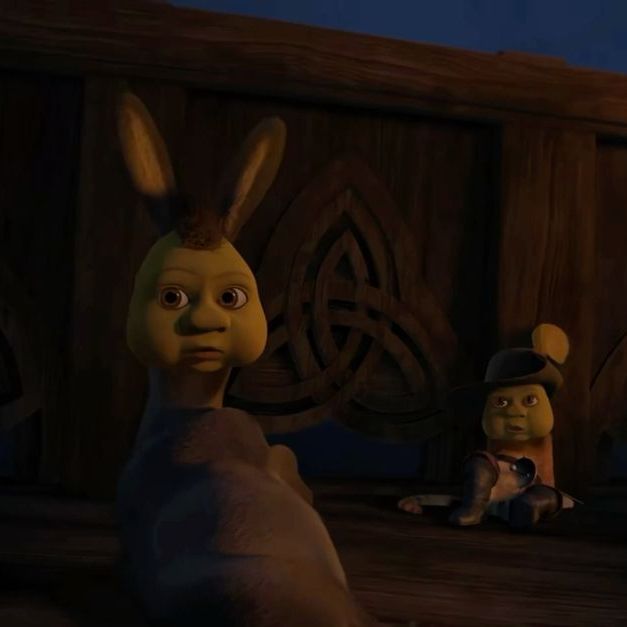 Shrek_999