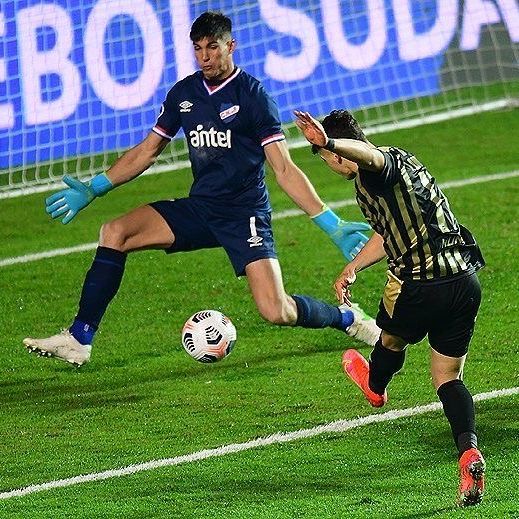Renansito
