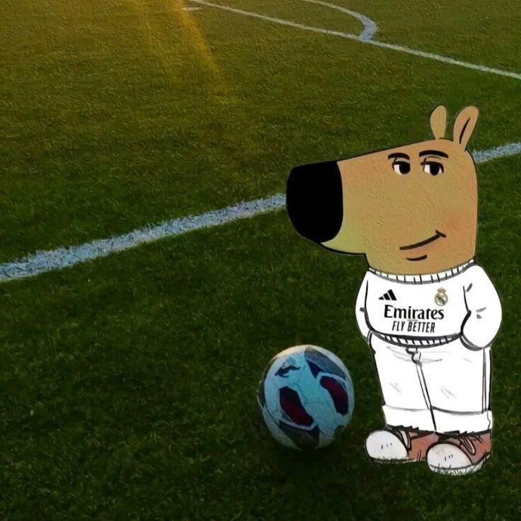 Makaa0 avatar