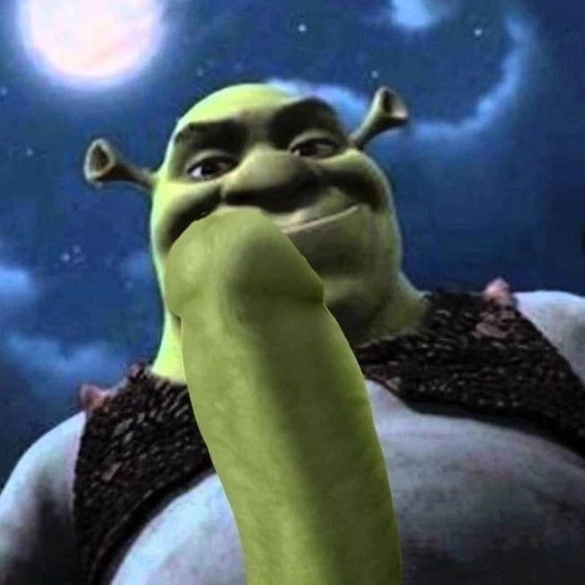 Shrek_Bigdik avatar