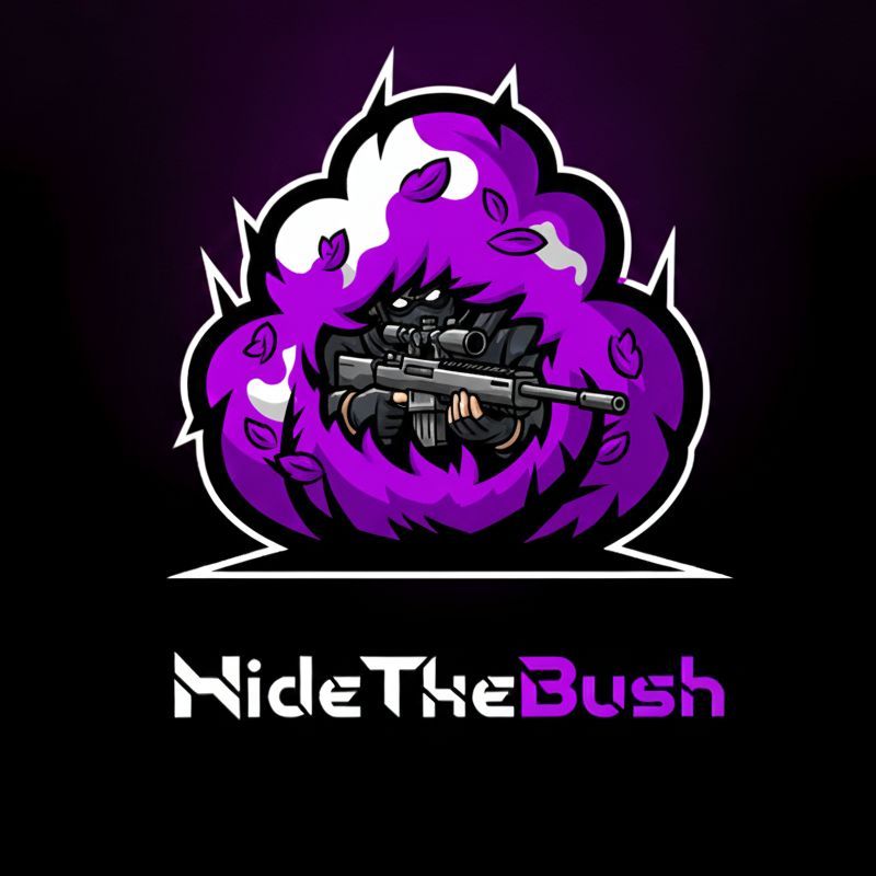 HidetheBush FACEIT avatar