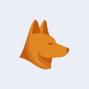 HoustonDingo avatar