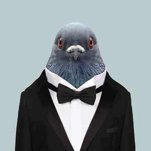 wxnderxd avatar