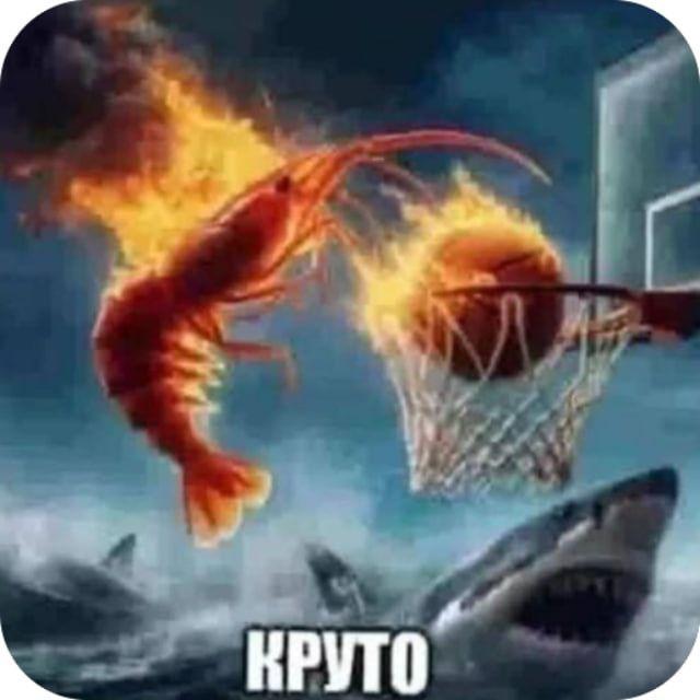 KPYT0 avatar