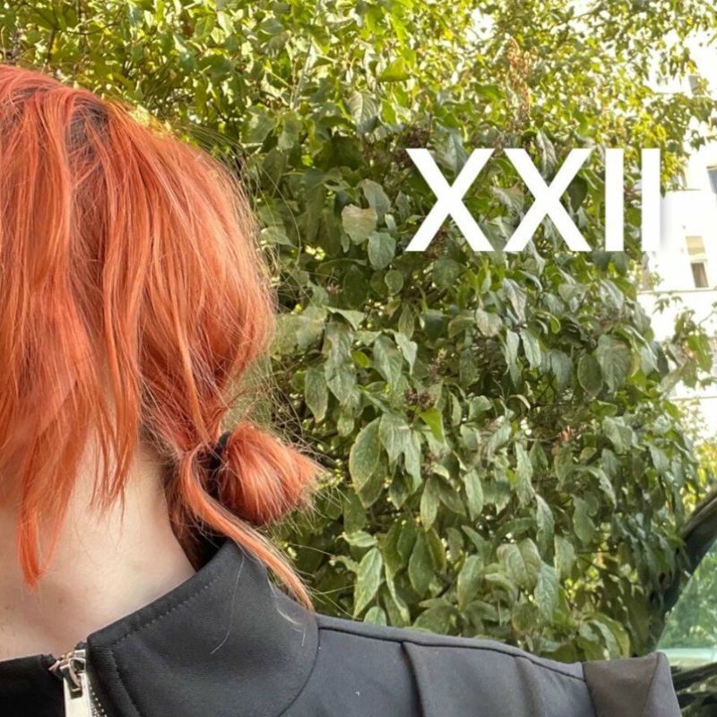 team_XterDHja