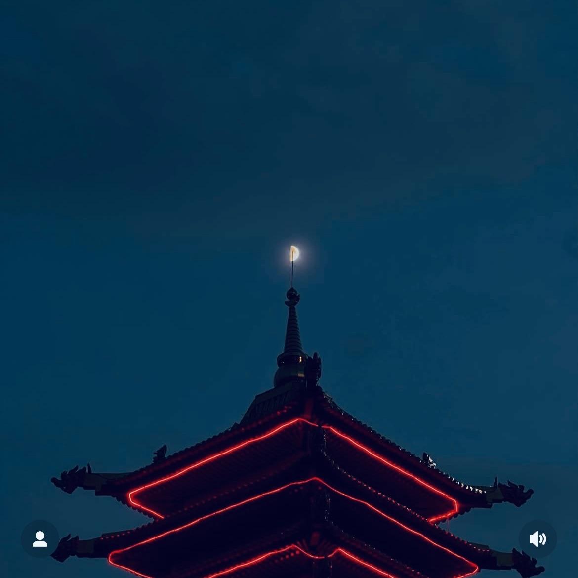 xxlSxul avatar