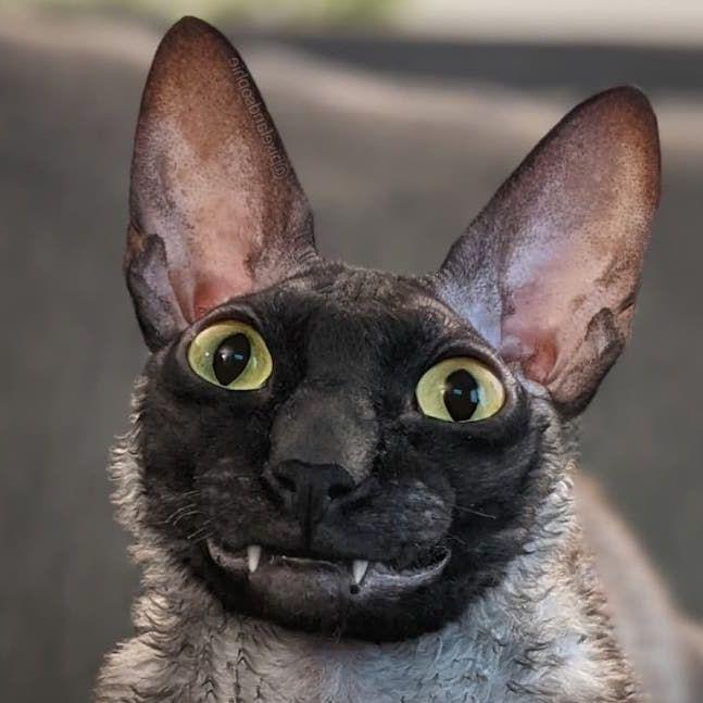 VAxET9 avatar