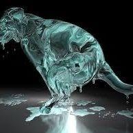 LiquefeidDog avatar