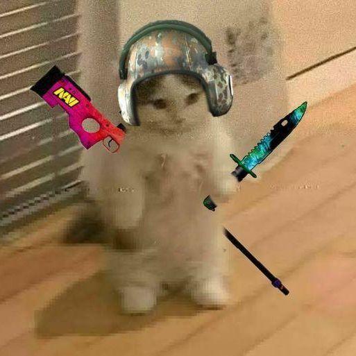 Makru- avatar