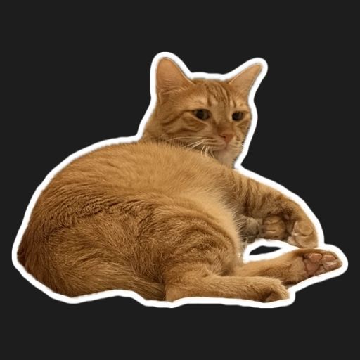 szzg