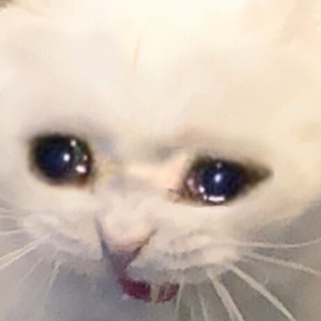 TinyH3bb