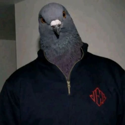Faceit Avatar
