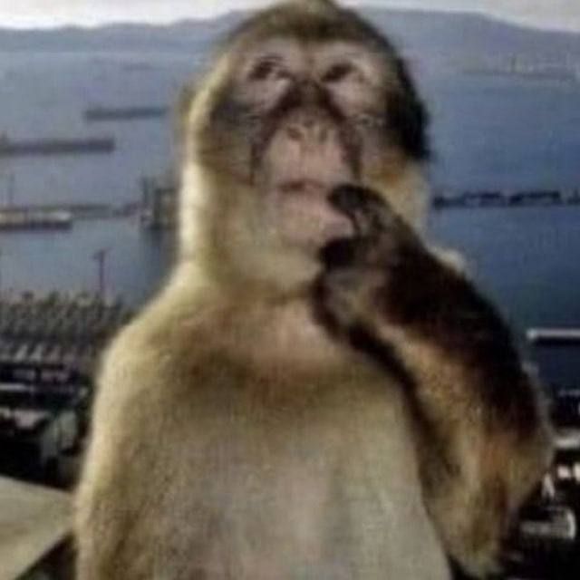BIBIZYANY