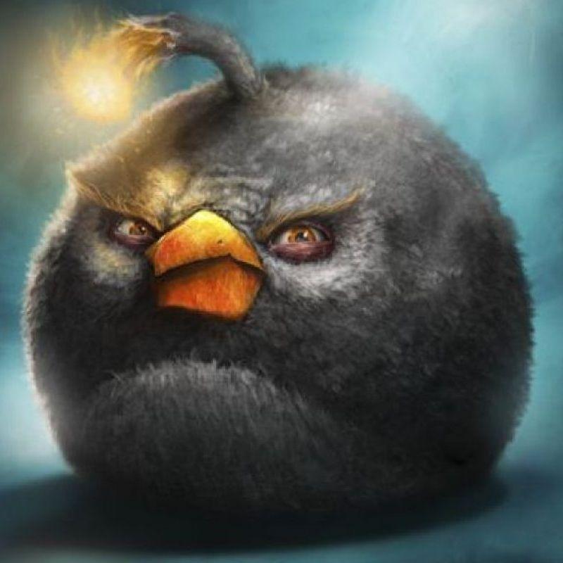 BogBinho