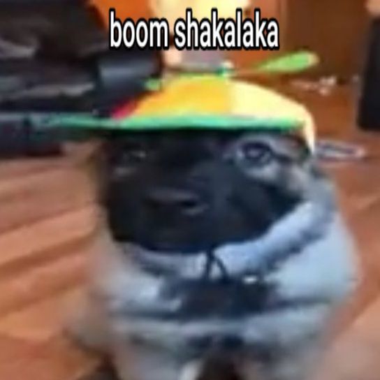 -fanix