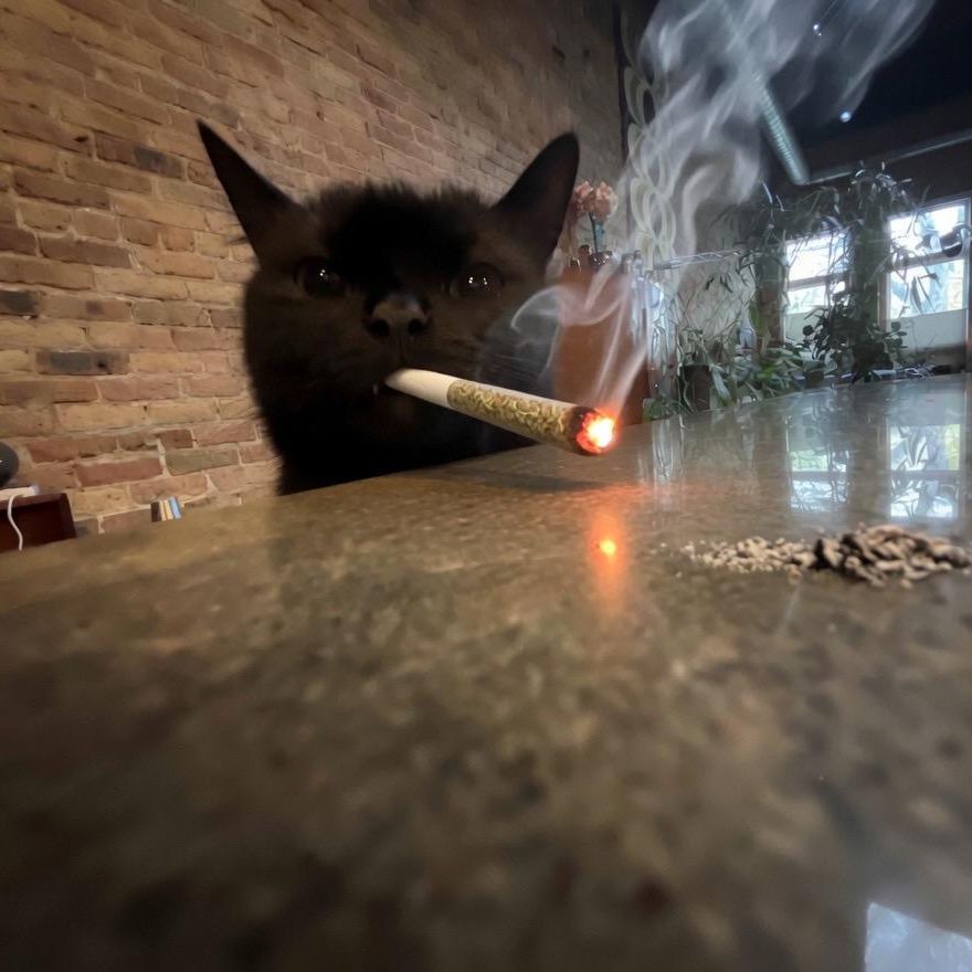 POT_B0T