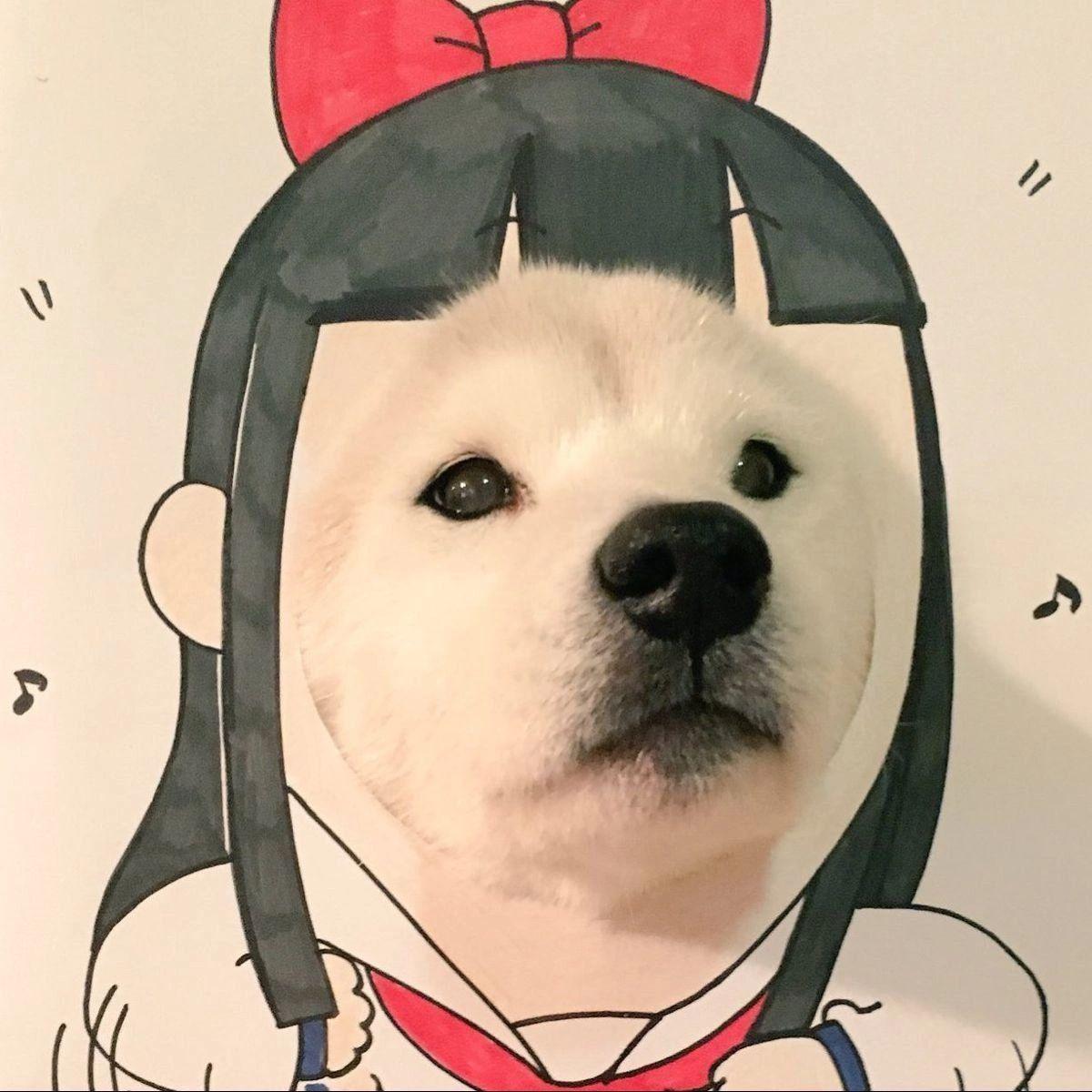 kwixa_qq avatar