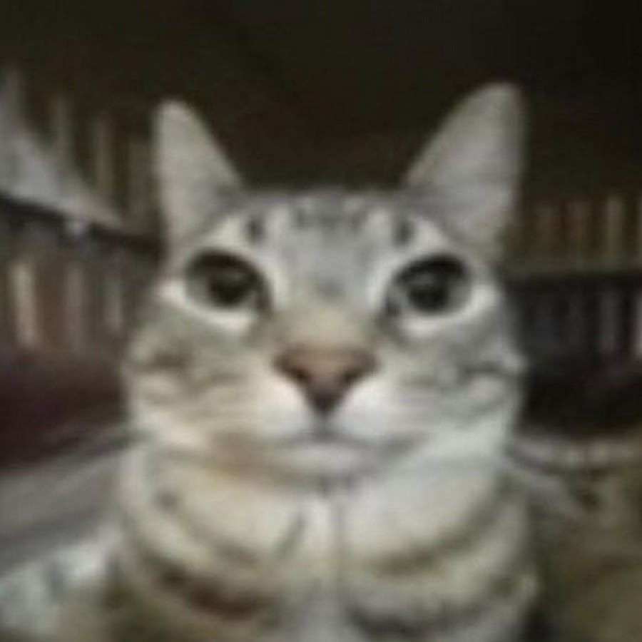 ryssultan