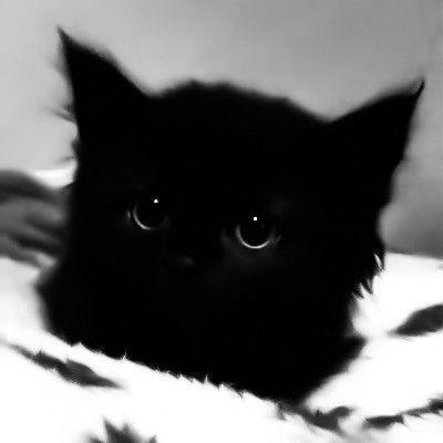 eegorov avatar