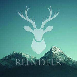 reindeers123 avatar