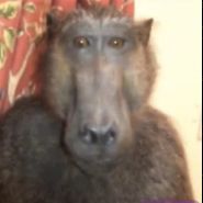 kalmass0 avatar