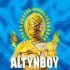 ALTYNBOYsc avatar