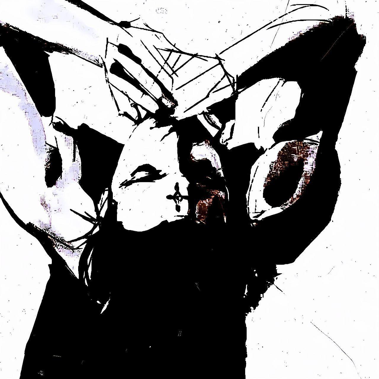 Cheezer3 avatar