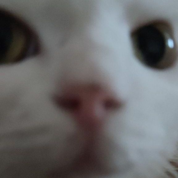 Sam0ky