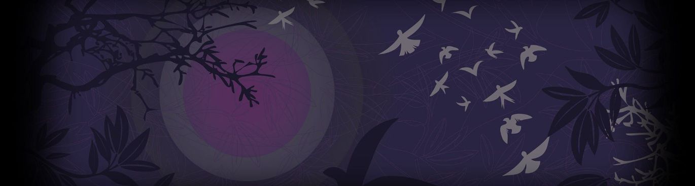 Faceit banner for @zendaya