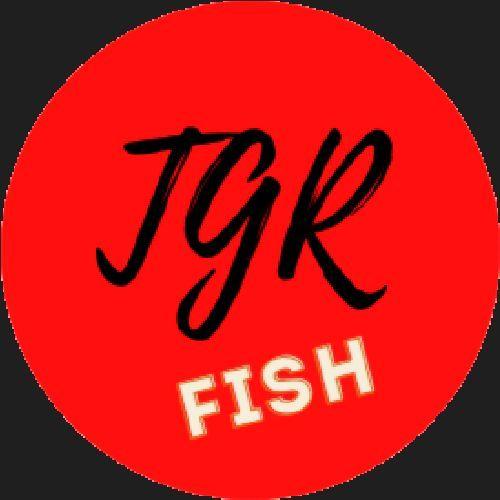 TgrFish avatar