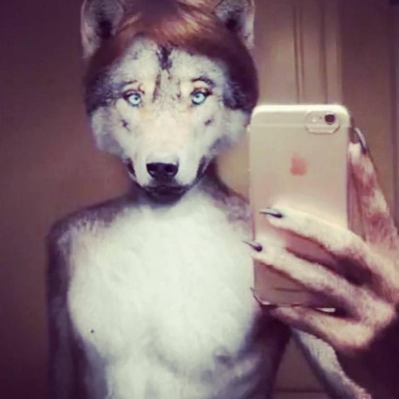 vndpup1 avatar