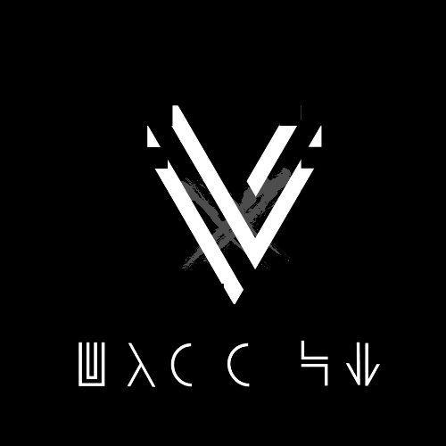viss_ion