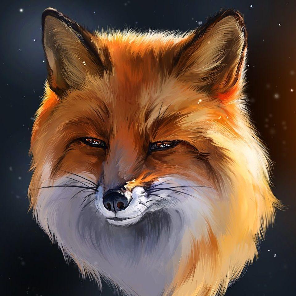 Funnyfox_ avatar