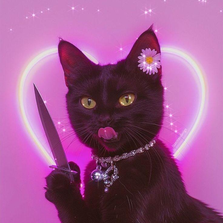 gatteka avatar