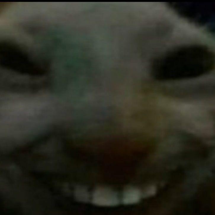 RNcl