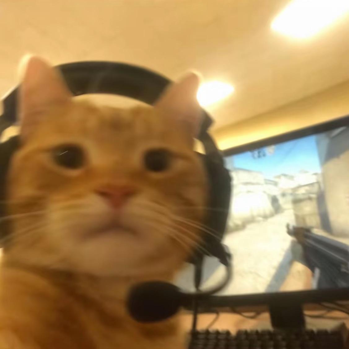 viper_strik1 avatar