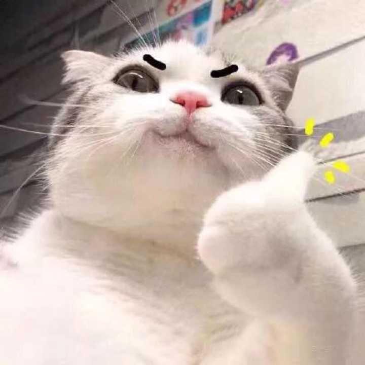 LBWNB2