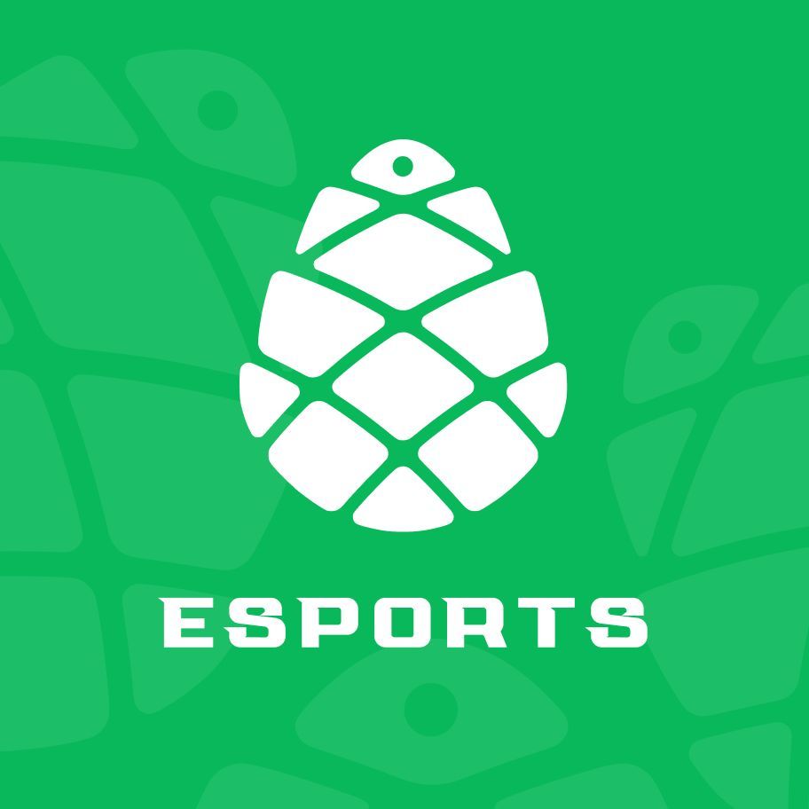 Girchi Esports