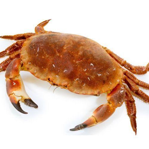 crab456