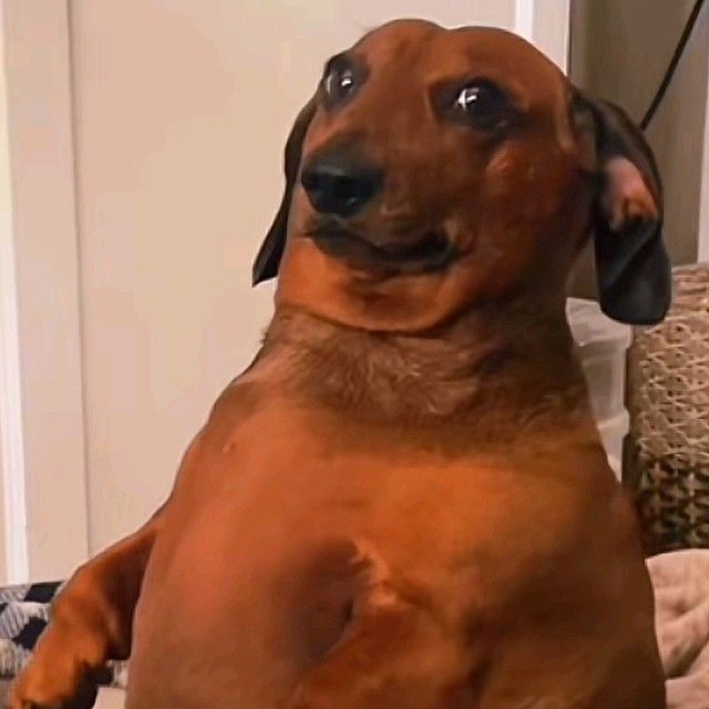 Bobeshnik