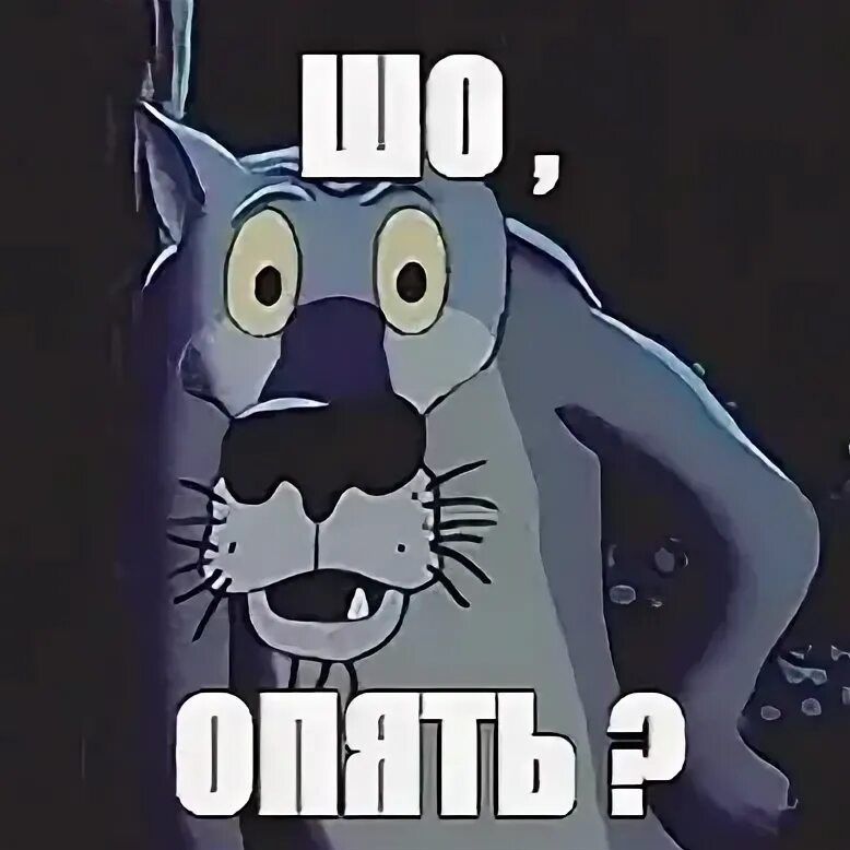 -xd_-