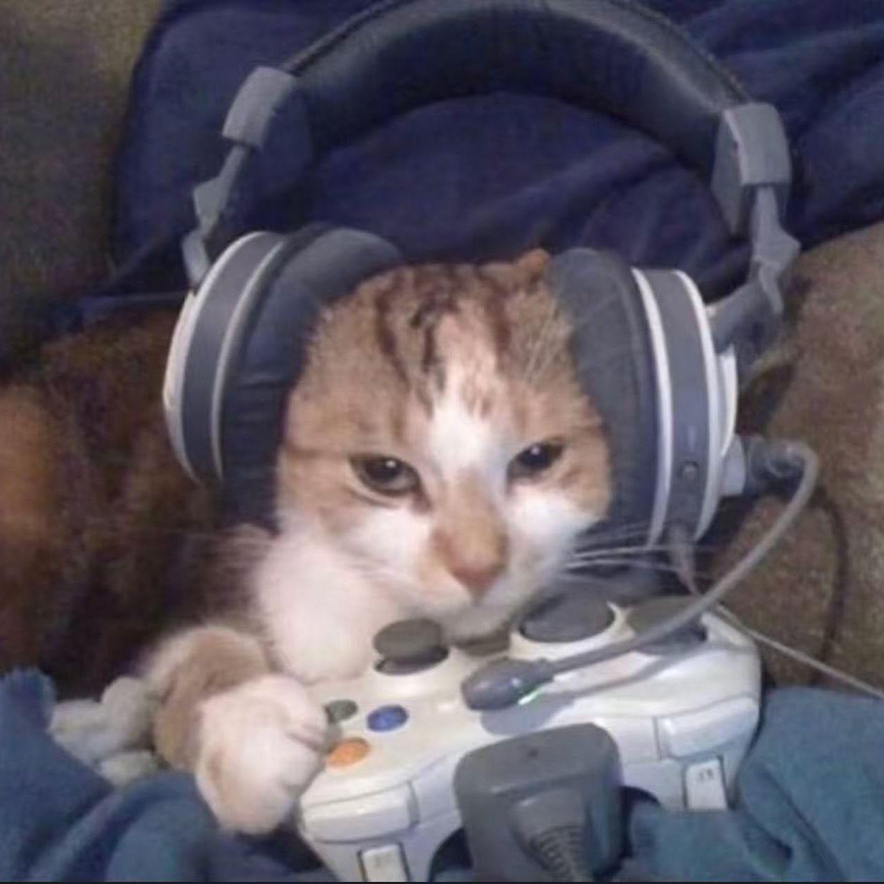 RekZnm avatar