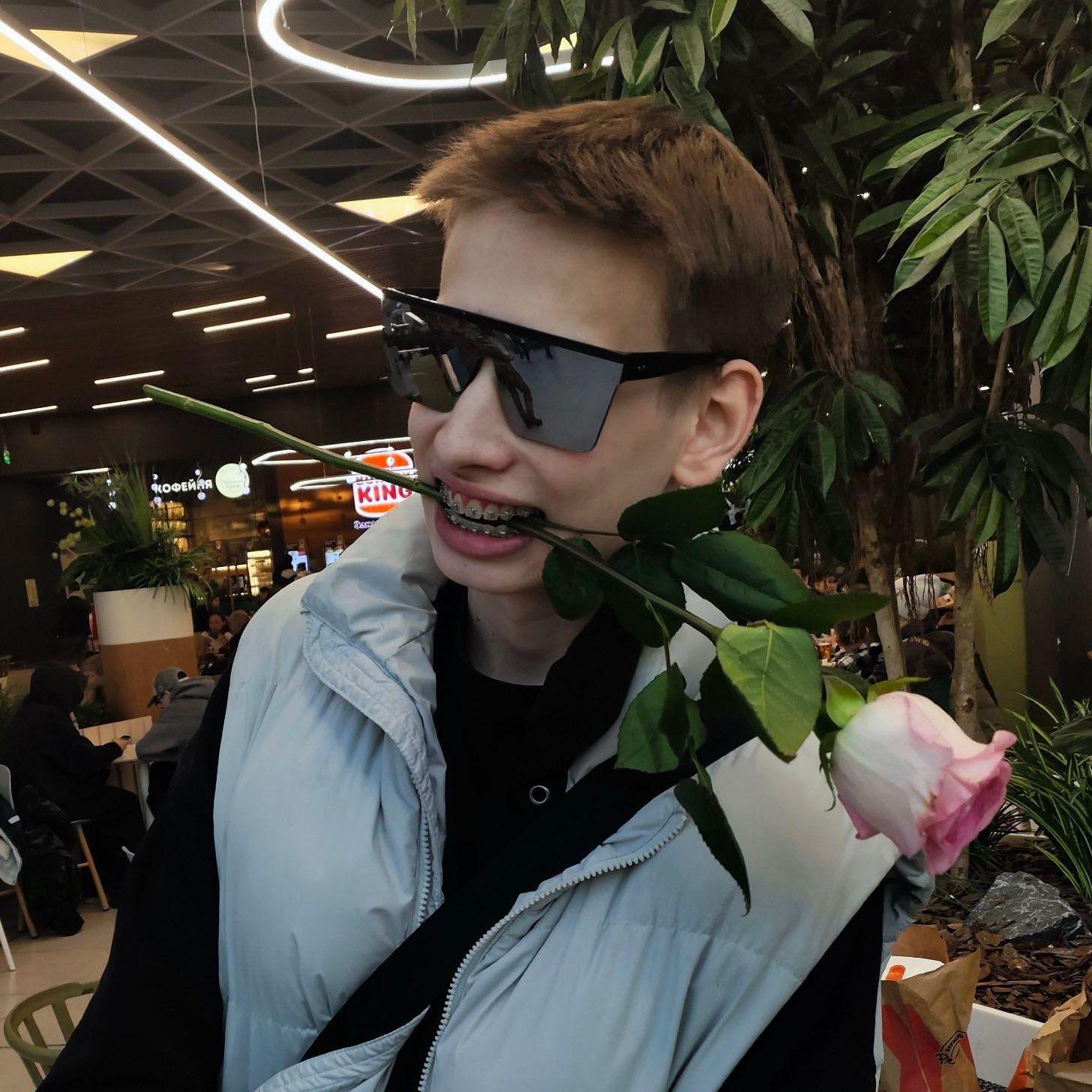 BogPanda avatar