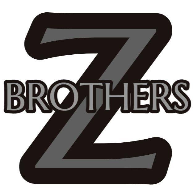 Z-brothers avatar