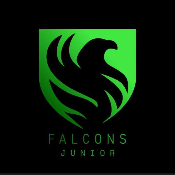 Falcons Junior