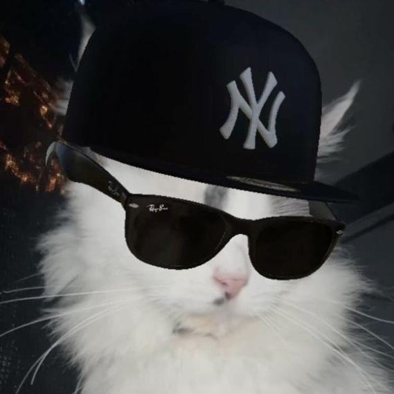 xNovvakx avatar