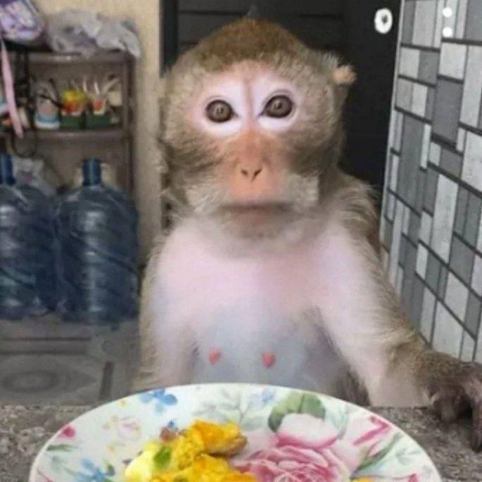 nwegorkf