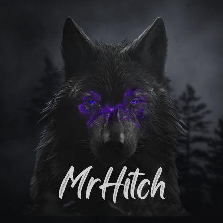 Player HitchSnitch avatar