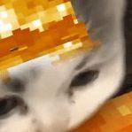 -Furi667-